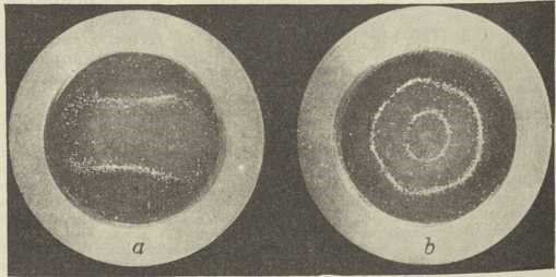 Sl. 2. Pješčane slike na okrugloj ploči (po D. C. Milleru); frekvencije: 977 (a), 2460 (b)