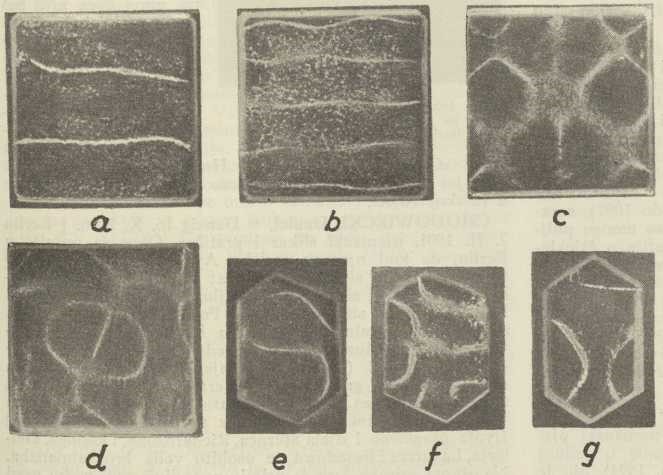 Sl. 4. Chladnijevi likovi na pločicama od kvarca (pokusi i snimke D. Pejnovića 1935)