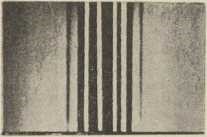 Sl. 12. Ogib homogene svjetlosti na ultra zvučnim valovima u tekućini; negativ; (D. P-ć 1935)