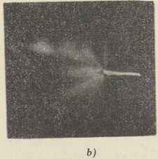 Sl. 8b. Lavine iona na šiljku u Wilsonovoj komori; b) na šiljku je negativan elektricitet (H. Raether, 1935)